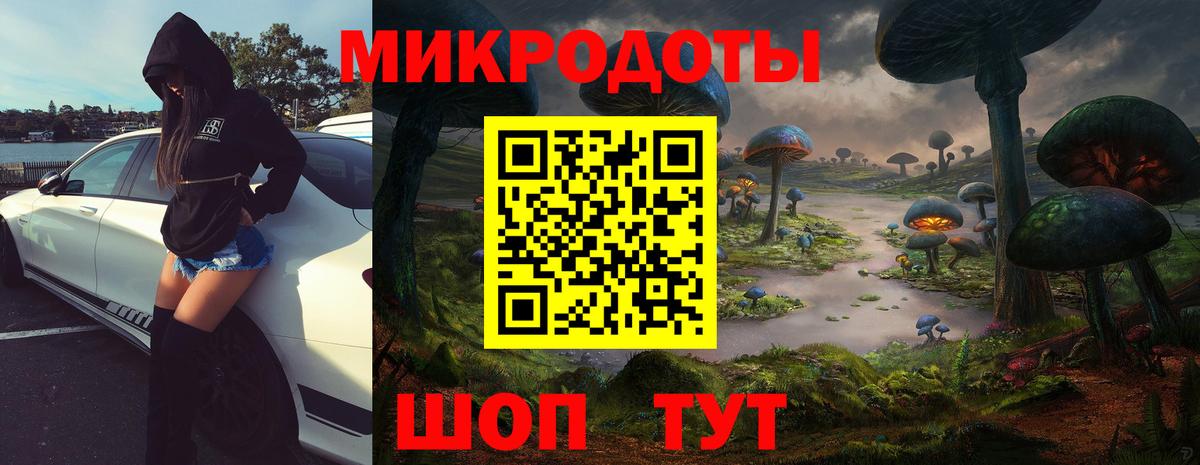 Псилоцибиновые грибы мухоморы Волгоград