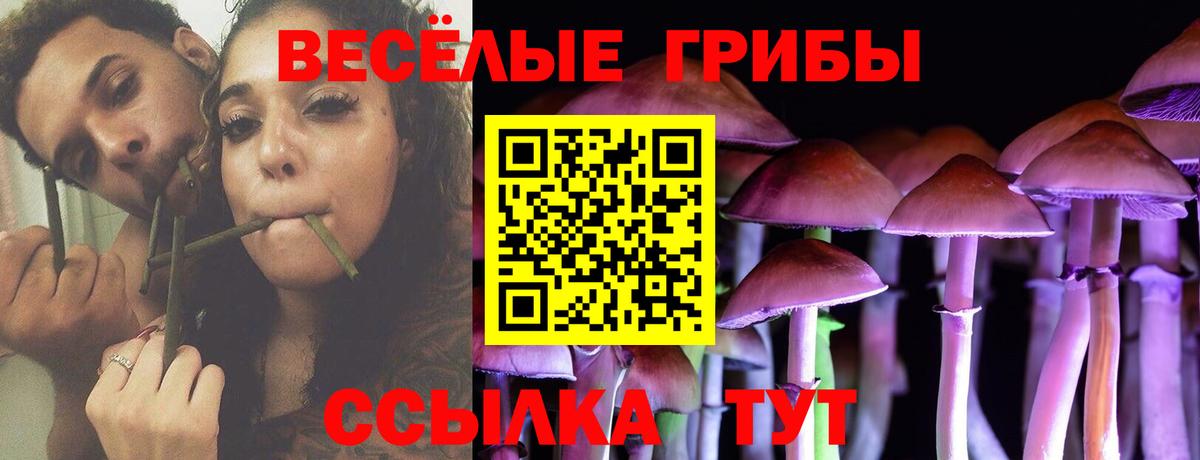 Псилоцибиновые грибы мицелий  Псилоцибиновые грибы GOLDEN TEACHER  Волгоград  Вход с VPN 